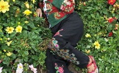 亚欧乱码卡一卡二卡新